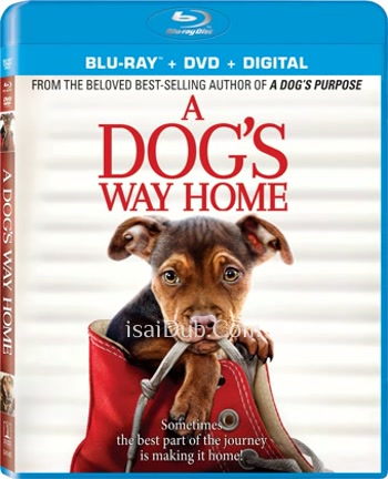 A Dogs Way Home (2019) - Tamil Movie Poster