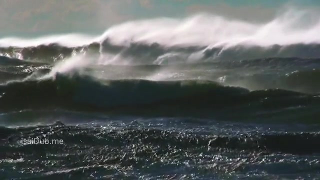 Dam Sharks 2016 360p HD.mp4
