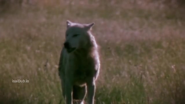 Hybrid 2007 Original 360p HD.mp4