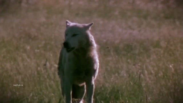 Hybrid 2007 Original 1080p HD.mp4
