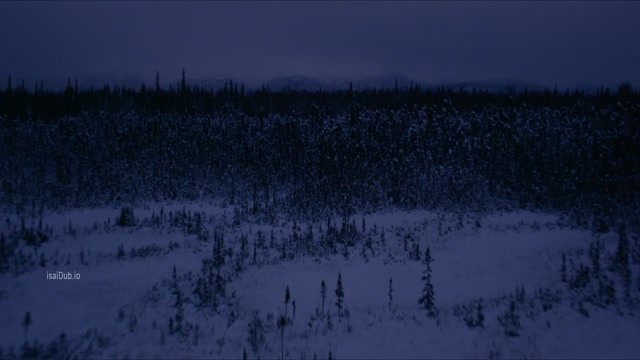 Subservience 2024 Original 1080p HD.mp4