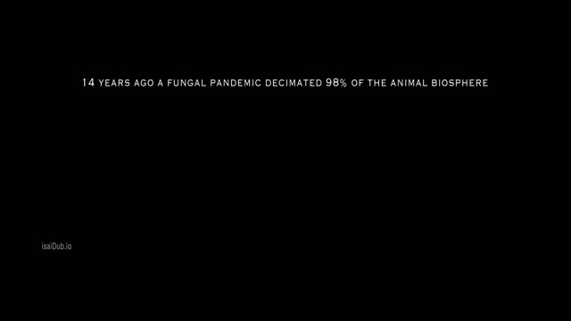 40 Acres 2024 Original 1080p HD.mp4