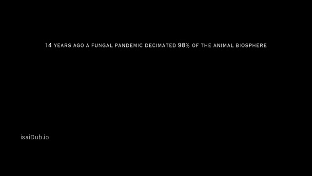 40 Acres 2024 Original 360p HD.mp4