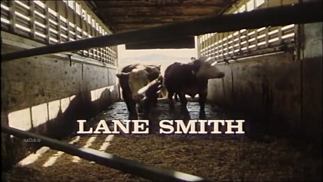 Beverly Hills Cowgirl Blues 1985 Original 1080p HD.mp4