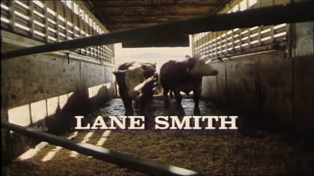 Beverly Hills Cowgirl Blues 1985 Original 720p HD.mp4