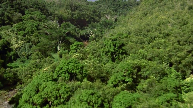 Anaconda 3 Offspring 2008 Original 1080p HD.mp4