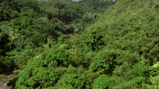 Anaconda 3 Offspring 2008 Original 720p HD.mp4