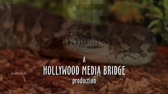 Anacondas Trail of Blood 2009 Original 360p HD.mp4