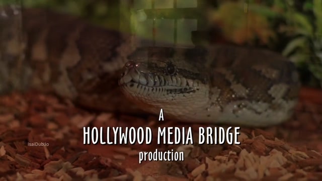 Anacondas Trail of Blood 2009 Original 720p HD.mp4