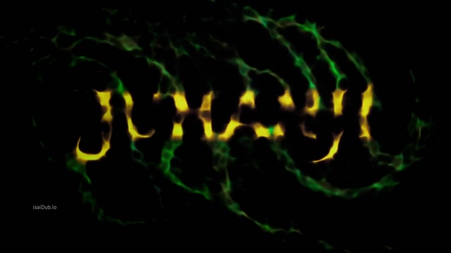 Jumanji 1995 Original 1080p HD.mp4