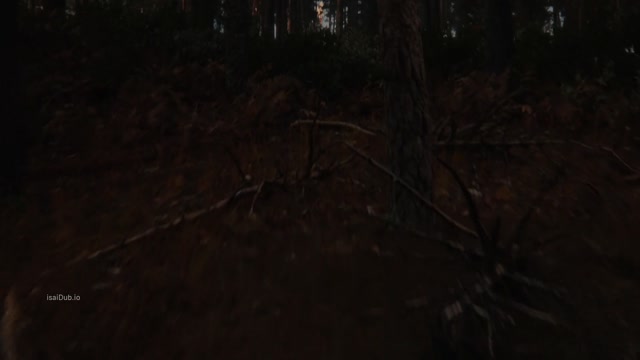 Firebreak 2026 Original 1080p HD.mp4