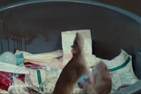 Doctor Dolittle (1998) Part-2.mp4