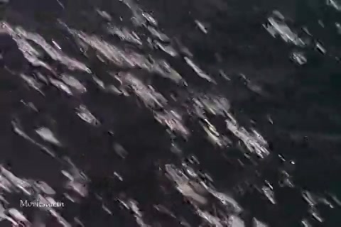 Godzilla Vs Destoroyah (1995) HD (480x320).mp4