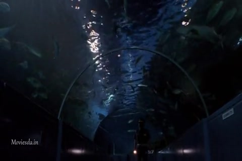 Godzilla Vs Destoroyah (1995) Sample (640x360).mp4