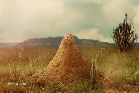 Indiana Jones (2008) HD (480x320).mp4