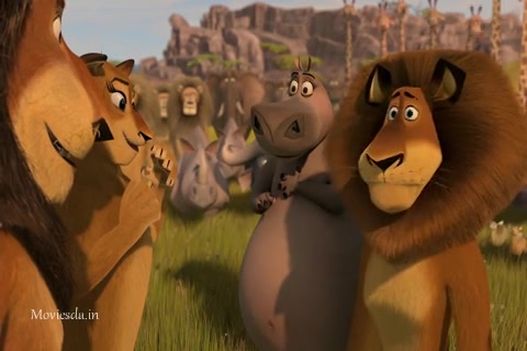 Madagascar Escape 2 Africa (2008) Sample (480x320).mp4