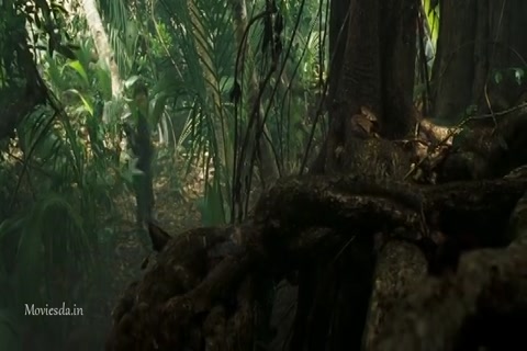 Pirates Of The Caribbean 2 (2006) Sample (640x360).mp4