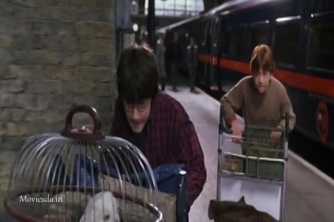 Harry Potter and The Chamber Of Secrets (2002) Sample (480x320).mp4