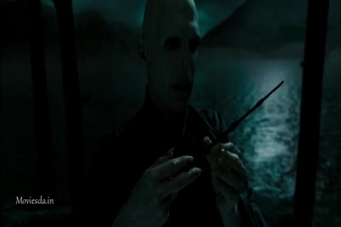 Harry Potter and The Deathly Hallows Part 2 (2011) HD (640x360).mp4