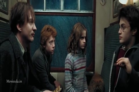 Harry Potter and The Prisoner Of Azkaban (2004) Sample (640x360).mp4