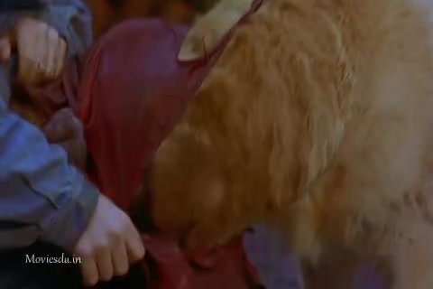 Air Bud (1997) Sample (480x320).mp4