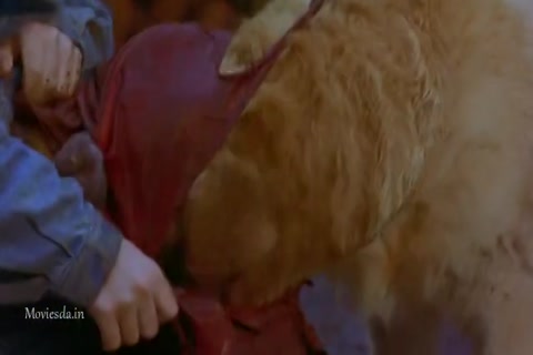 Air Bud (1997) Sample (640x360).mp4
