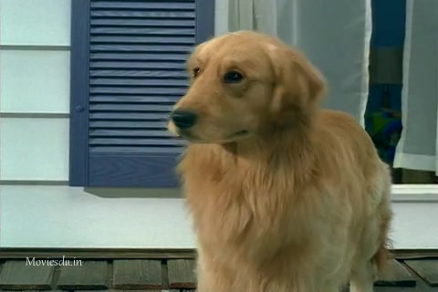 Air Buddies (2006) Sample (480x320).mp4
