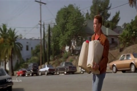 Last Action Hero (1993) Sample (640x360).mp4