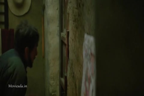 Railroad Tigers (2016) Sample (480x320).mp4