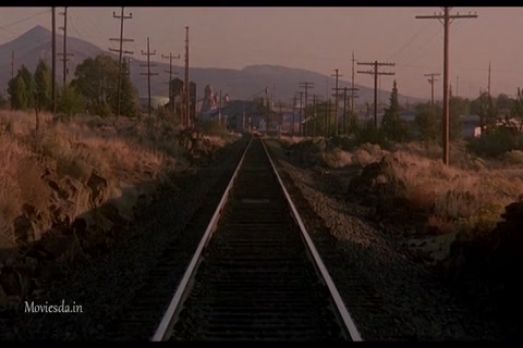 Homeward Bound The Incredible Journey (1993) HD (640x360).mp4