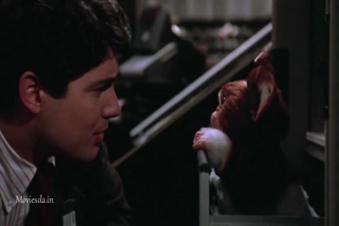 Gremlins 2 The New Batch (1990) Sample (640x360).mp4