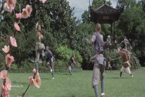 The Shaolin Temple (1982) Sample (640x360).mp4