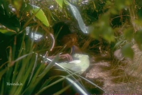 Beyond The Next Mountain (1987) Sample (640x360).mp4