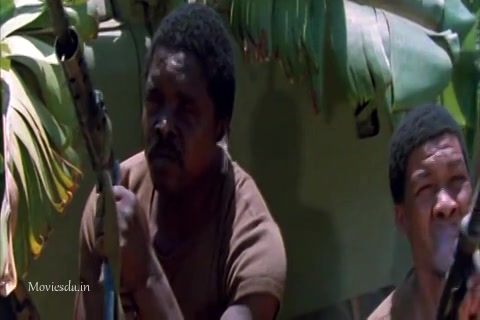 The Gods Must Be Crazy (1980) Sample (480x320).mp4