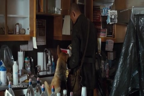 I Am Legend (2007) Sample (480x320).mp4