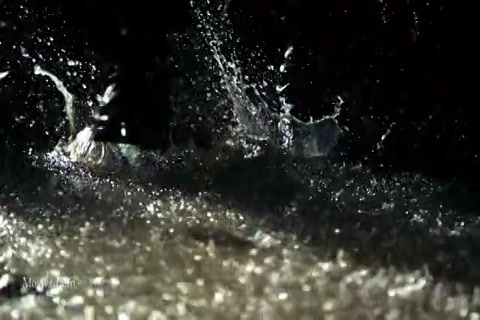 Vanquisher (2009) HD (640x360).mp4