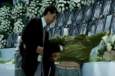 The Host (2006) Sample (480x320).mp4
