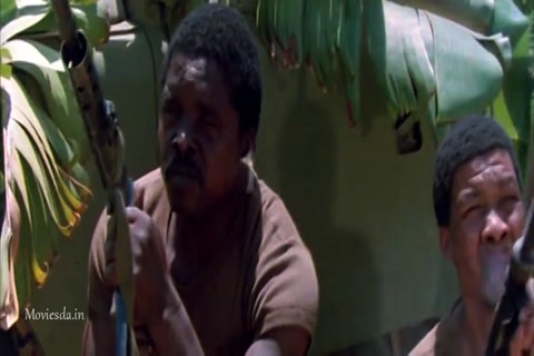 The Gods Must Be Crazy (1980) Sample (640x360).mp4