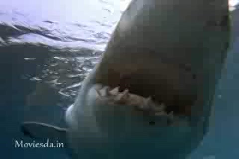 Shark Attack 3 (2002) Part-1.mp4