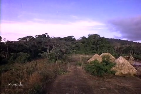 Gold Of The Amazon Women (1979) Sample (480x320).mp4