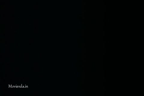 Born to Be Wild.mp4