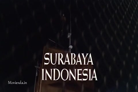 King Kong.mp4