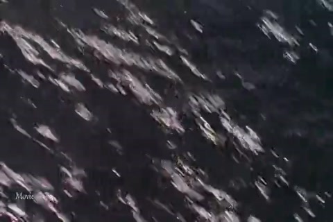 Godzilla vs Destoroyah HD.mp4