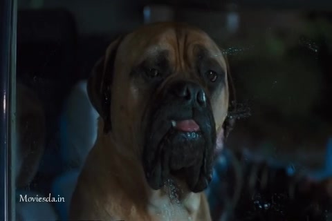 Doctor Dolittle Sample.mp4