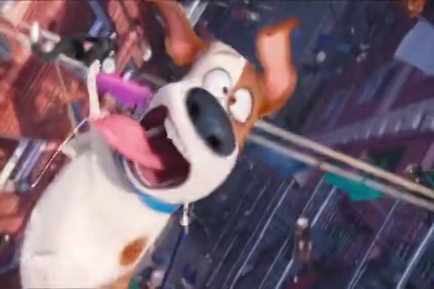 The Secret Life Of Pets Sample.mp4