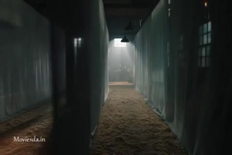 Sting Of The Scorpions Tail.mp4