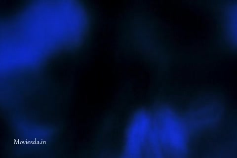 The One.mp4