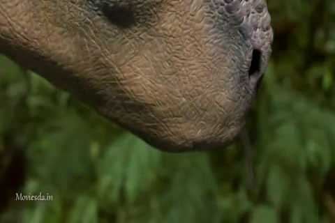 Dinosaur Sample (640x360).mp4