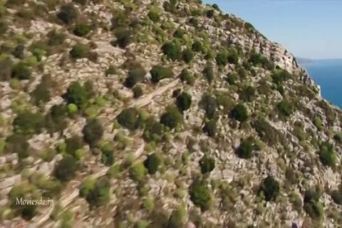 Overdrive (640x360).mp4