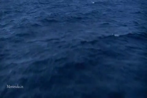 The Cradle Of Life (2003) (640x360).mp4